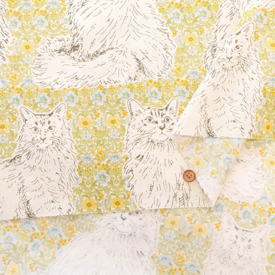 �J���[�o���G�[�V����