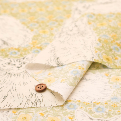 �J���[�o���G�[�V����