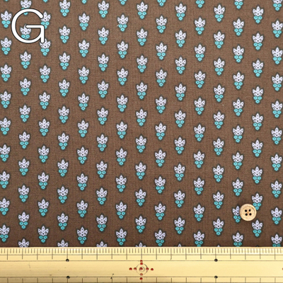 J[oG[V