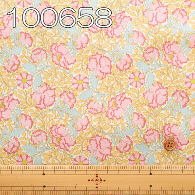 �J���[�o���G�[�V����