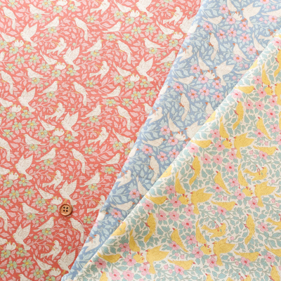 �J���[�o���G�[�V����