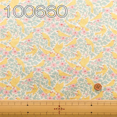 �J���[�o���G�[�V����