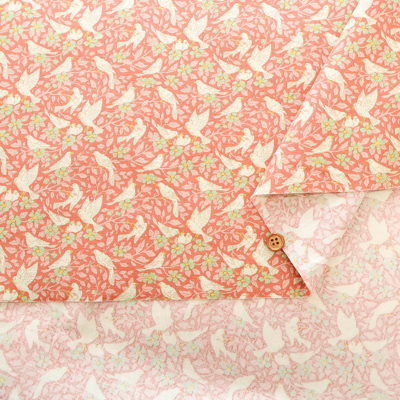 �J���[�o���G�[�V����