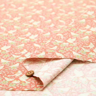 �J���[�o���G�[�V����