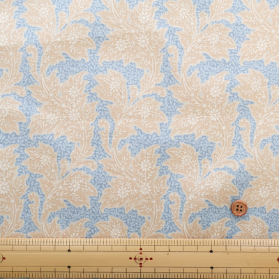 �J���[�o���G�[�V����