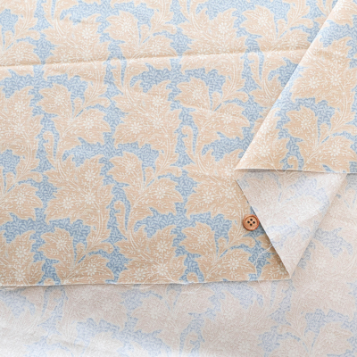 �J���[�o���G�[�V����