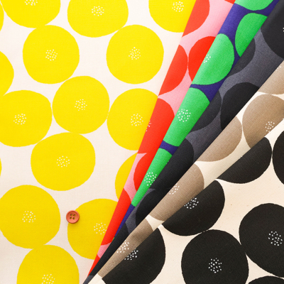 �J���[�o���G�[�V����