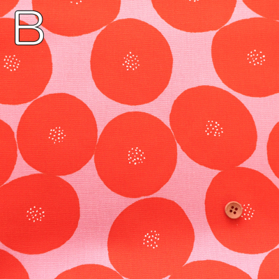 �J���[�o���G�[�V����