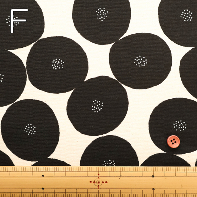 �J���[�o���G�[�V����