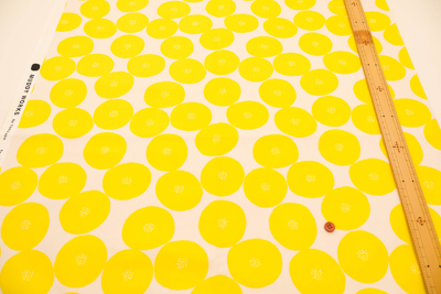 �J���[�o���G�[�V����