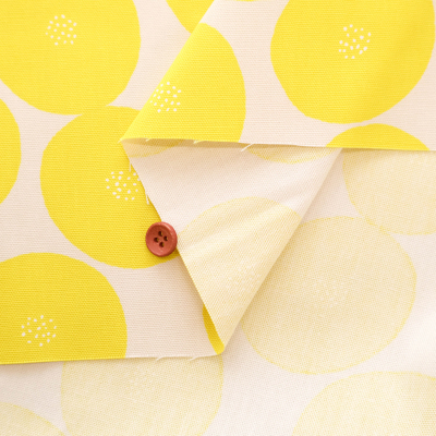 �J���[�o���G�[�V����