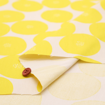 �J���[�o���G�[�V����