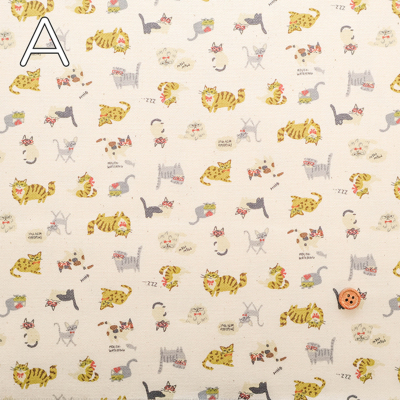 �J���[�o���G�[�V����