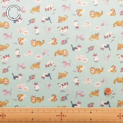 �J���[�o���G�[�V����