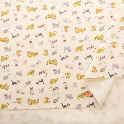 �J���[�o���G�[�V����