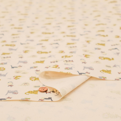 �J���[�o���G�[�V����