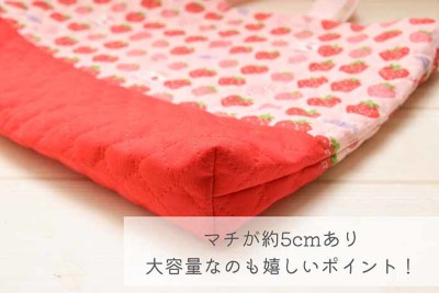 2/2個口ページ　　レッスンバッグ✖️2 図書袋✖️2 ヌビ　ラベンダー刺繍　ムーン 入園入学におすすめ♪レッスンバッグ生地の通販|ノムラテーラー