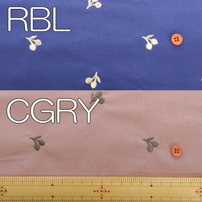 �J���[�o���G�[�V����