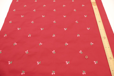 �J���[�o���G�[�V����