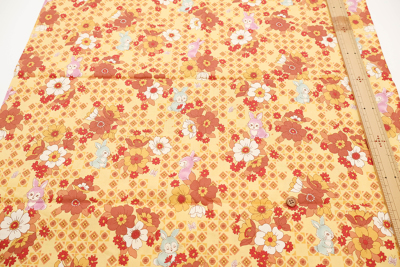 �J���[�o���G�[�V����