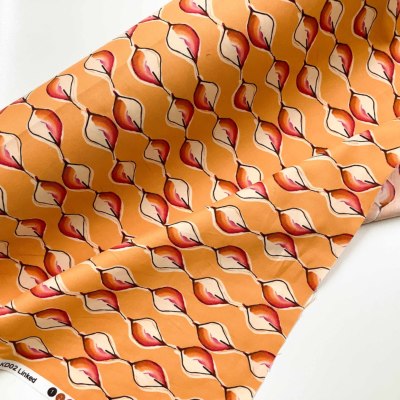 �J���[�o���G�[�V����