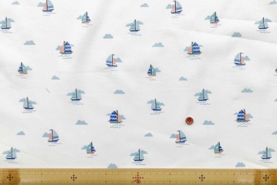 �J���[�o���G�[�V����