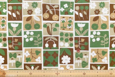 �J���[�o���G�[�V����