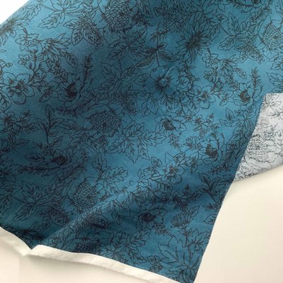 �J���[�o���G�[�V����