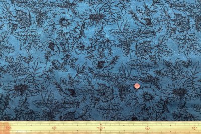 �J���[�o���G�[�V����