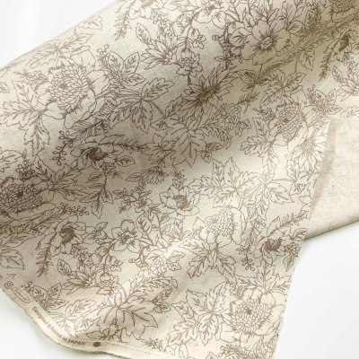 �J���[�o���G�[�V����