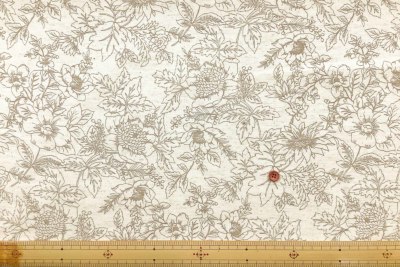 �J���[�o���G�[�V����