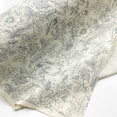 �J���[�o���G�[�V����