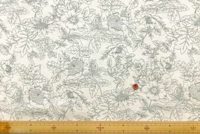 �J���[�o���G�[�V����