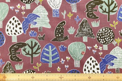 �J���[�o���G�[�V����