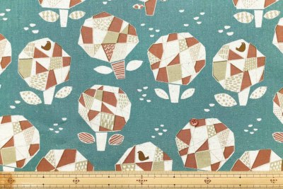 �J���[�o���G�[�V����