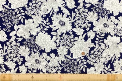 �J���[�o���G�[�V����