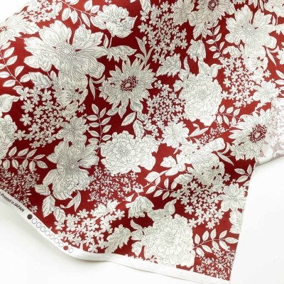 �J���[�o���G�[�V����