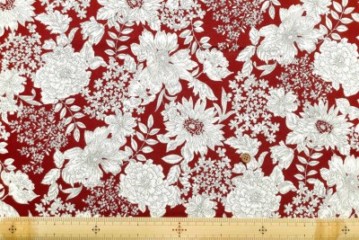 �J���[�o���G�[�V����