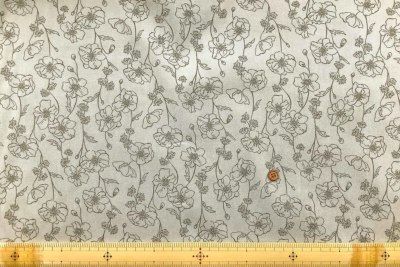 �J���[�o���G�[�V����