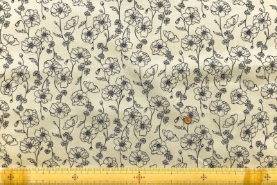 �J���[�o���G�[�V����