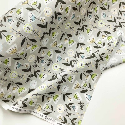 �J���[�o���G�[�V����