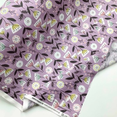 �J���[�o���G�[�V����