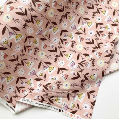 �J���[�o���G�[�V����