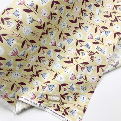 �J���[�o���G�[�V����