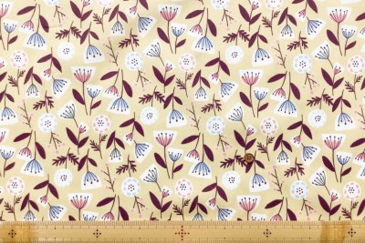 �J���[�o���G�[�V����