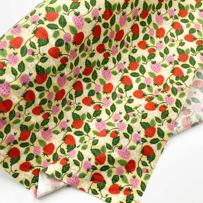 �J���[�o���G�[�V����