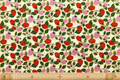 �J���[�o���G�[�V����