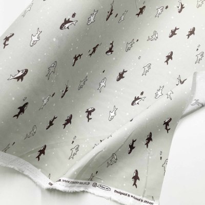 �J���[�o���G�[�V����