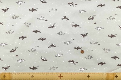 �J���[�o���G�[�V����