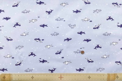 �J���[�o���G�[�V����